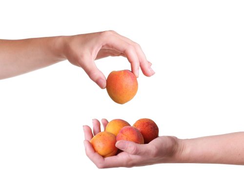 cajita fructificar pag inicio